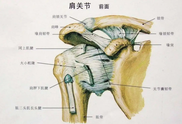 給愛打麻將的人一個(gè)養(yǎng)生理由：適度搓麻，延緩認(rèn)知衰退！