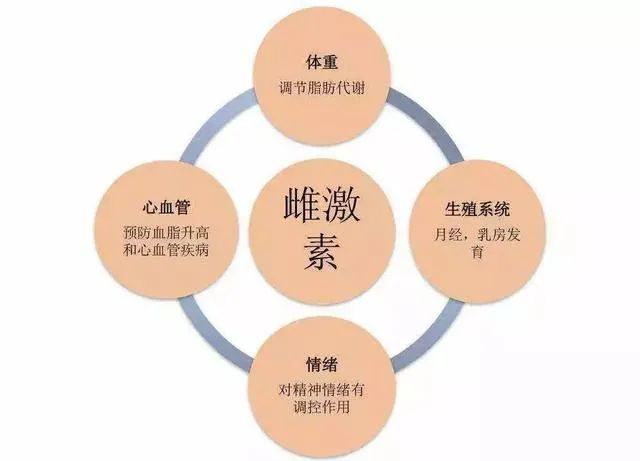 女孩們，答應(yīng)我這個器官一定要保護(hù)好