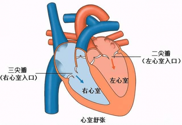 2-tuya.jpg