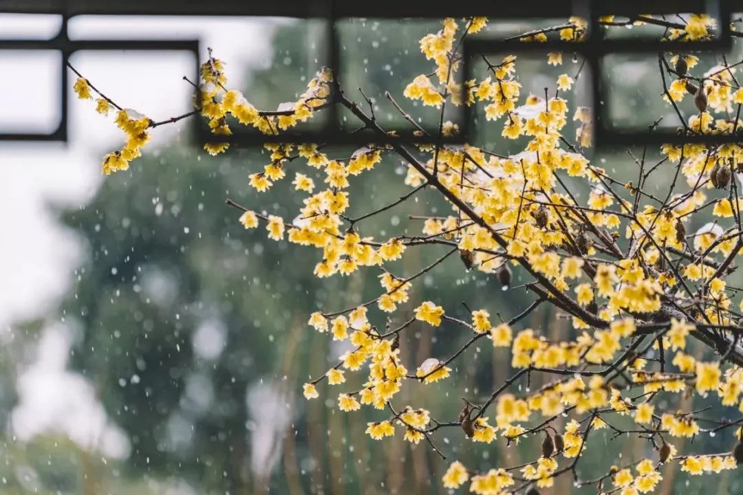 小寒，全年最冷的節(jié)氣！中醫(yī)教你正確調(diào)養(yǎng)身體