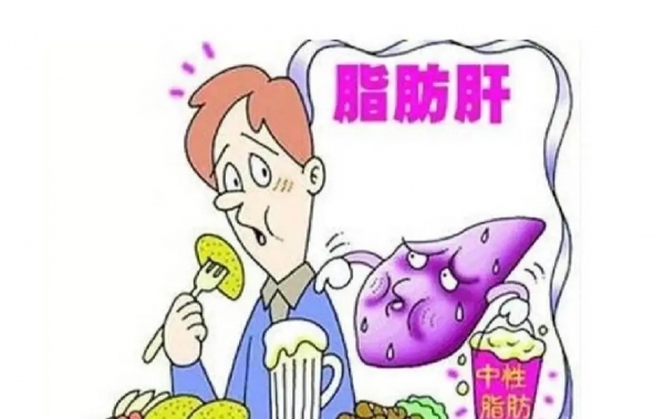 體檢查出輕度脂肪肝？想要逆轉(zhuǎn)需要做到這幾點(diǎn)